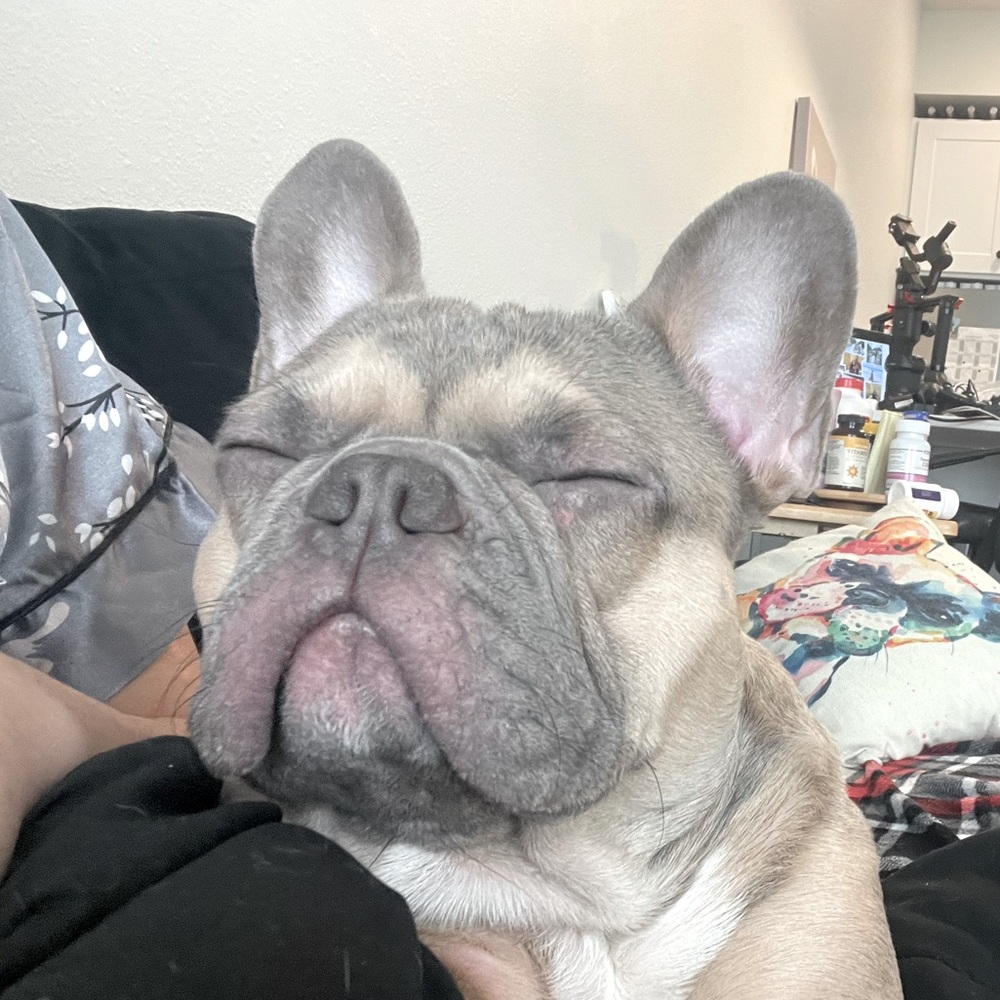 Meet your Posher, Oui